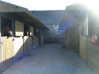 Bienvenue au Centre Equestre et Poney Club du Buisson
